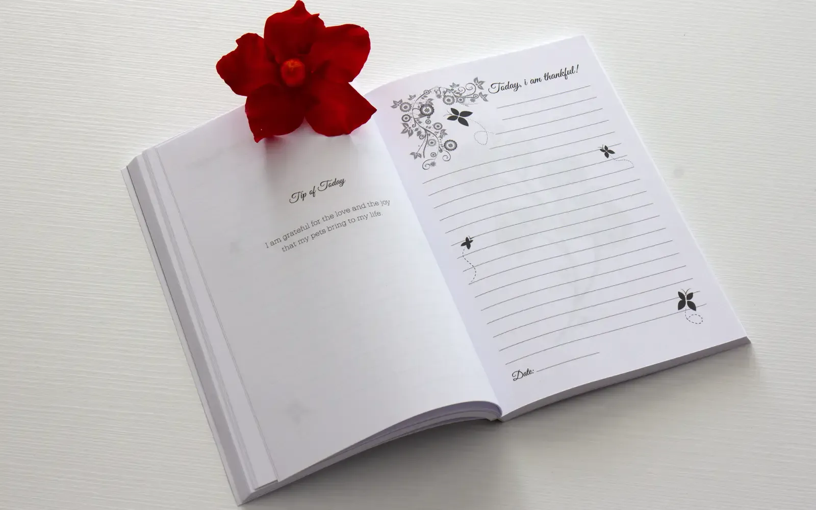 Anteprima del libro 3: Gratitude Journal YELLOW